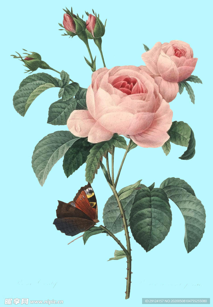 手绘花