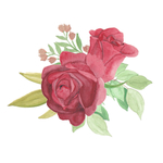 玫瑰花