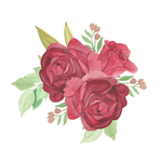 玫瑰花