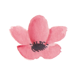 花朵