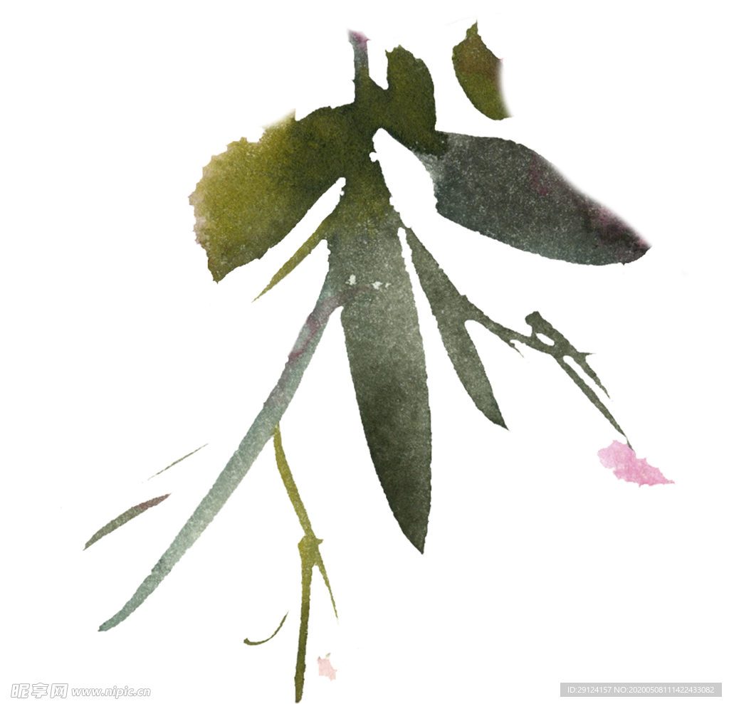 花卉树叶