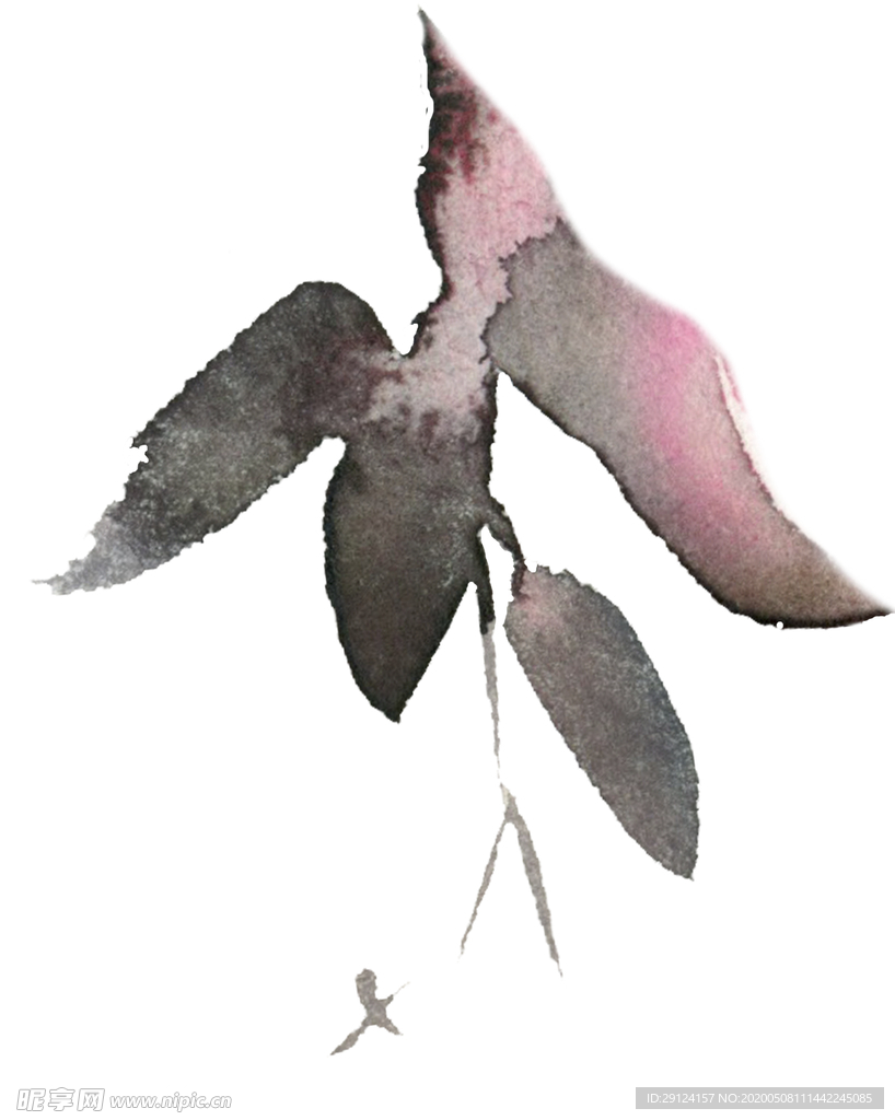 花卉树叶