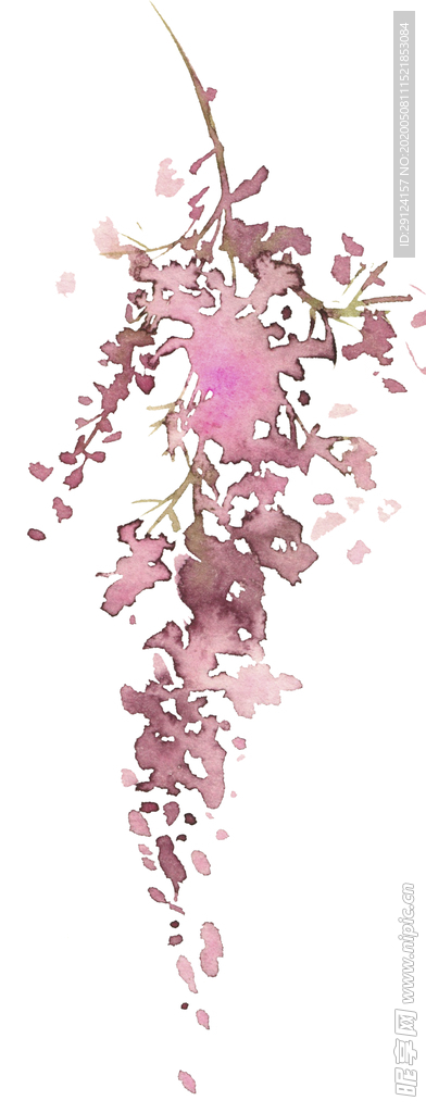 花卉树叶