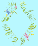 植物边框