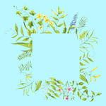植物边框