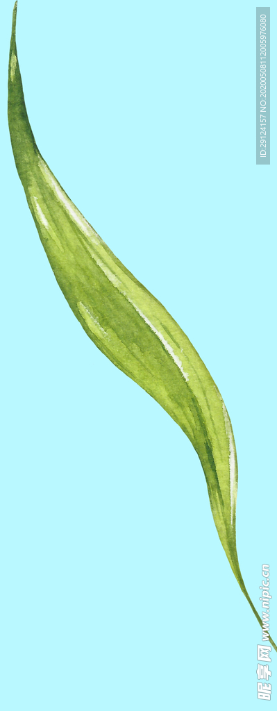 花卉树叶