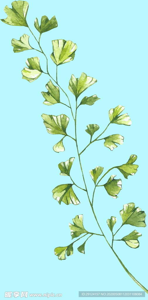 花卉树叶