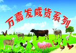 咸货系列家禽图片模板