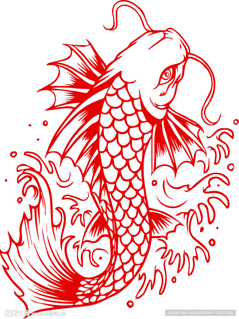 锦鲤