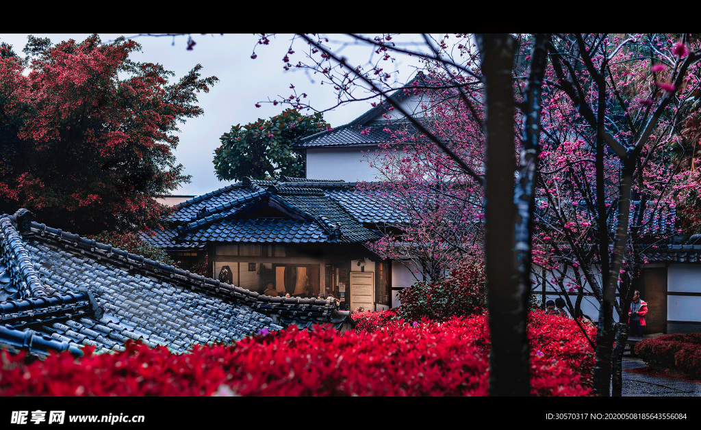 风景