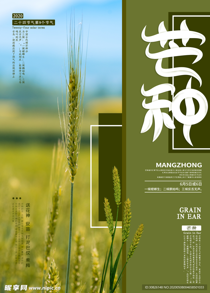 芒种