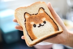 秋田犬面包