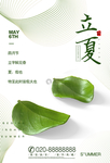 立夏图片