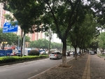 街道