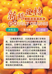 水果简介