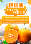 水果简介
