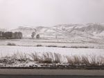 山丹军马场雪景