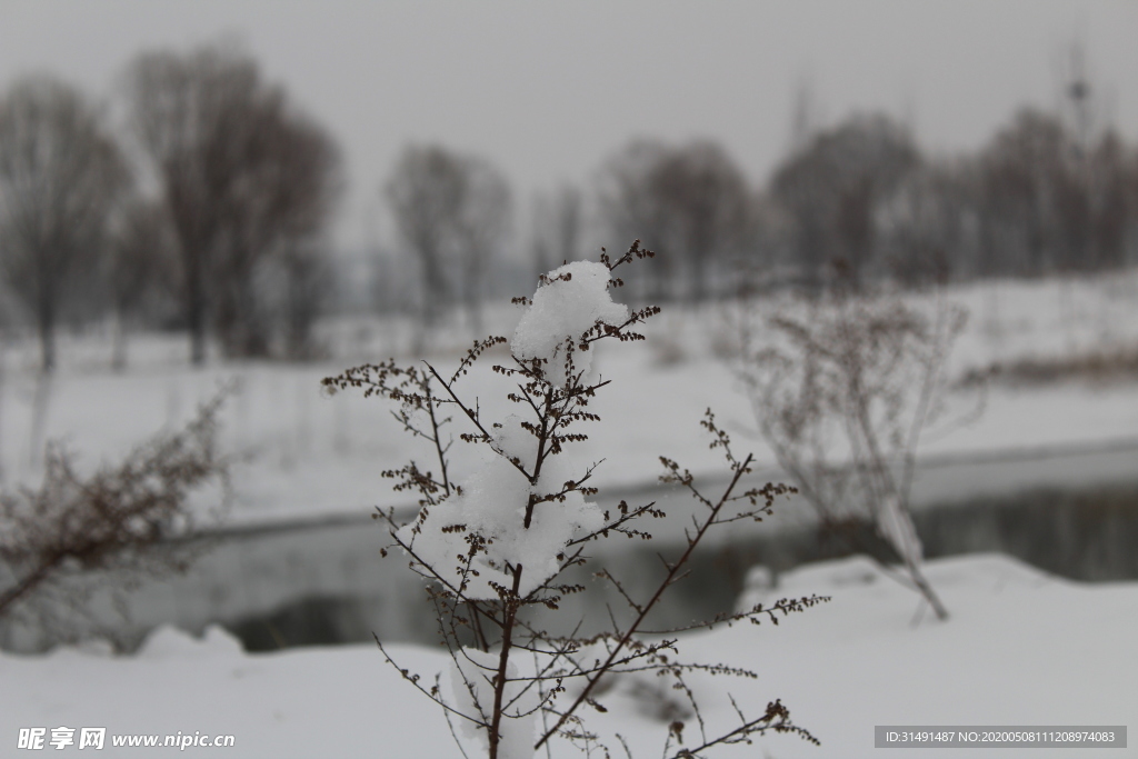 雪