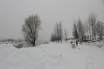 雪