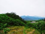山景