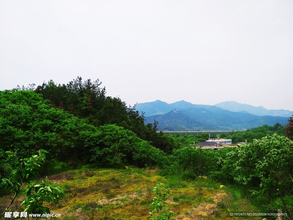 山景