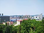 城市风光