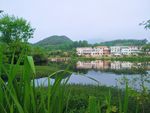 田园风光