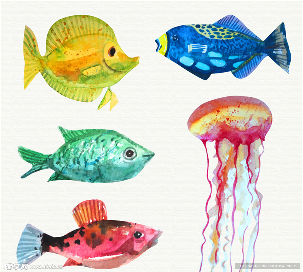 水彩绘海洋生物矢量素材