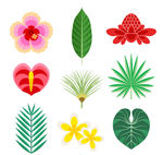 彩色热带花卉和叶子矢量素材