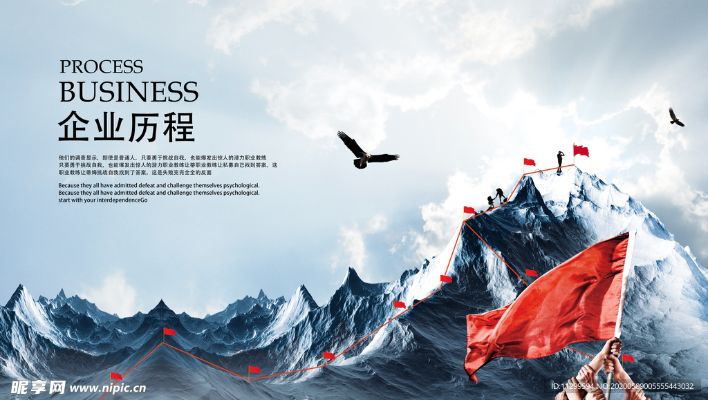 企业历程
