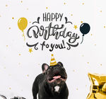 黑色法国斗牛犬生日海报