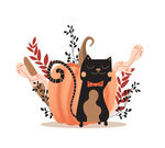 可爱闭眼黑猫和南瓜