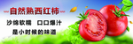 自然熟西红柿