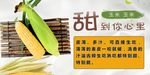 甜玉米