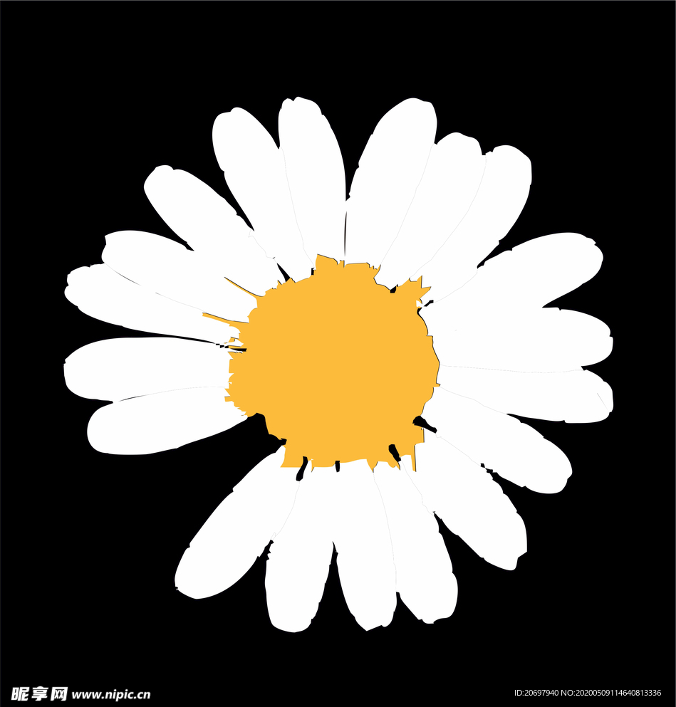 菊花