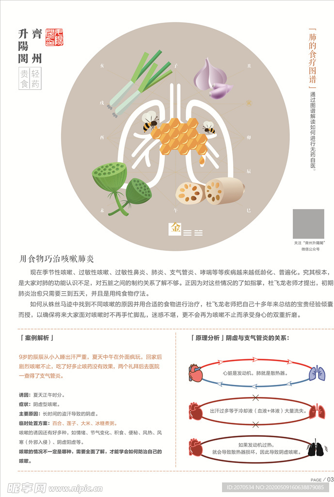 肺的图谱