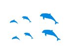 海豚
