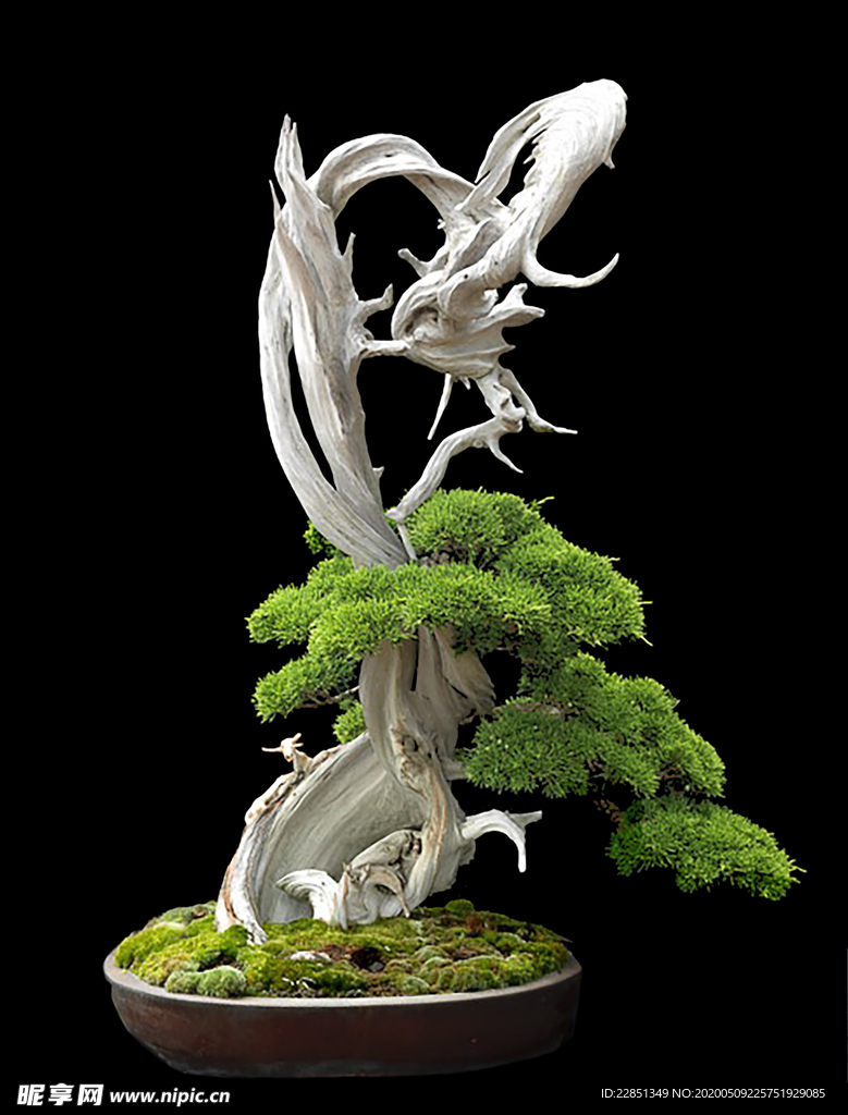 花艺