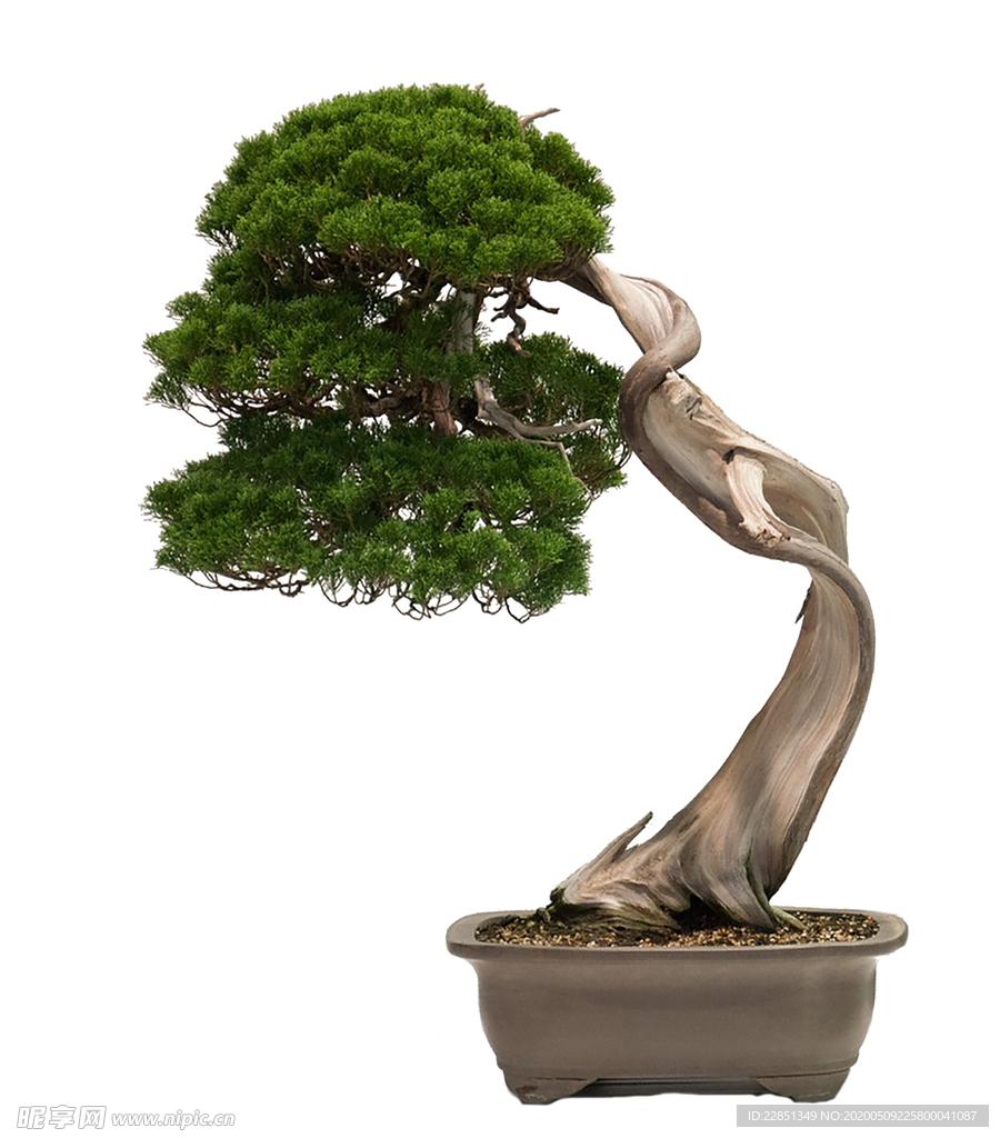 花艺