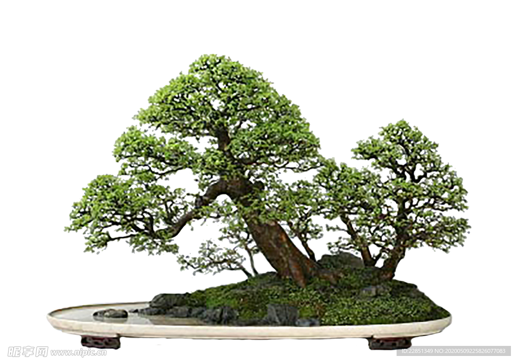 花艺
