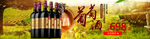 红酒葡萄酒轮播海报图片