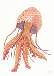 北欧风格淡色水彩画