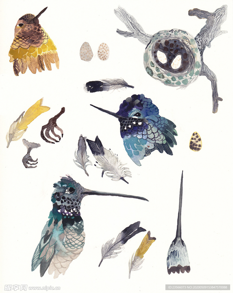 北欧风格淡色鸟禽水彩画