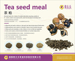 贵太太茶粕海报