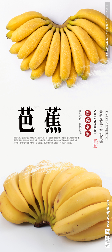 芭蕉PSD分层海拔
