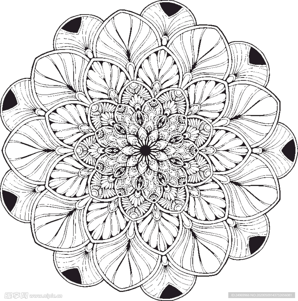 曼陀罗花纹
