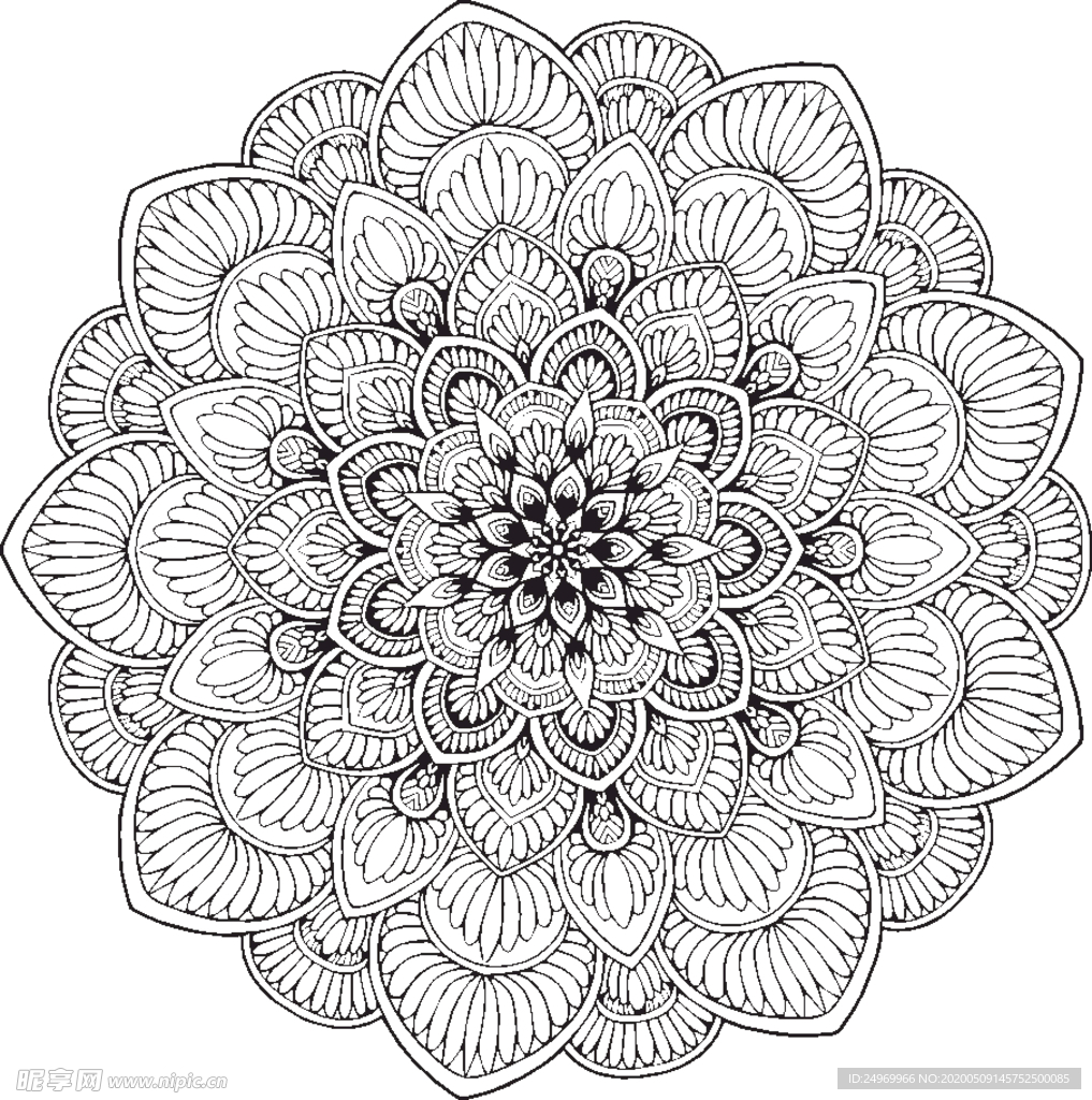 曼陀罗花纹