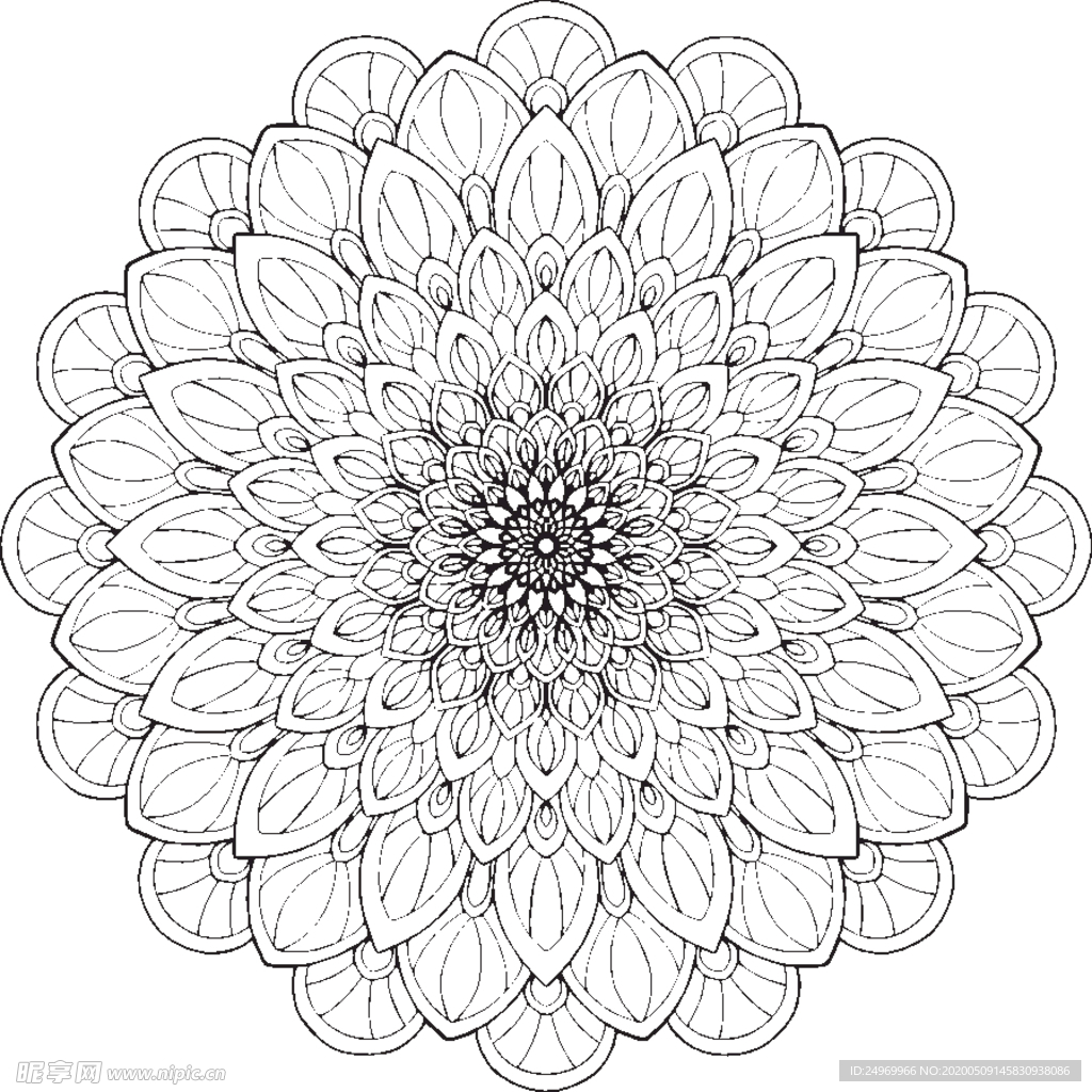 曼陀罗花纹