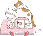 可爱小猫