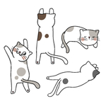 可爱小猫